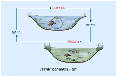 我國水生態(tài)環(huán)境修復(fù)現(xiàn)狀分析解讀（上）-
