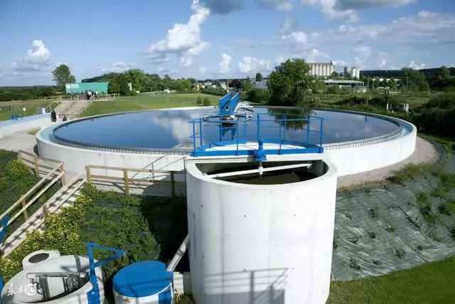 氨氮超標有哪些危害？怎么處理氨氮超標？-