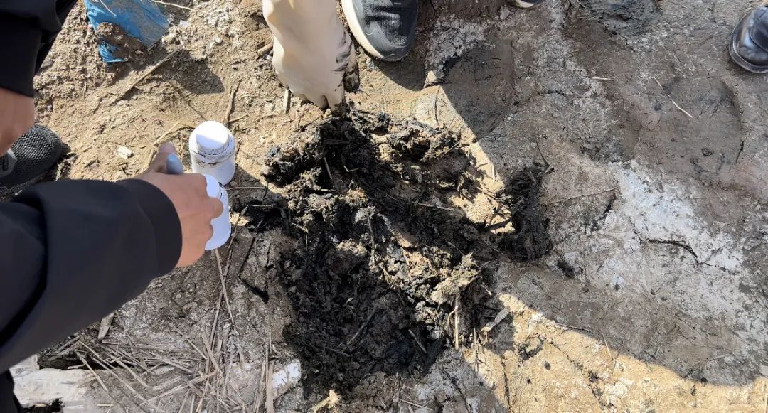 消失的污泥去哪兒了？-