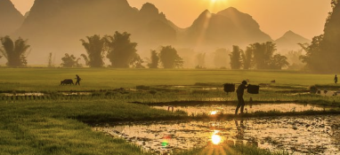 污泥含水率太難降？加點藥劑試試！