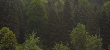 環(huán)境部答復“建議國家加大對固體廢物處理技術和專項設備的研發(fā)投入，增加專業(yè)處理機構(gòu)的數(shù)量”的建議