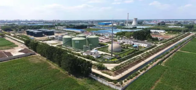 將“碳”進行到底！農(nóng)業(yè)農(nóng)村減排固碳“加速中”