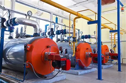 上海綠色制造展｜生物質(zhì)天然氣制綠氨技術(shù)獲國(guó)際認(rèn)證，實(shí)現(xiàn)全生命周期碳足跡追蹤